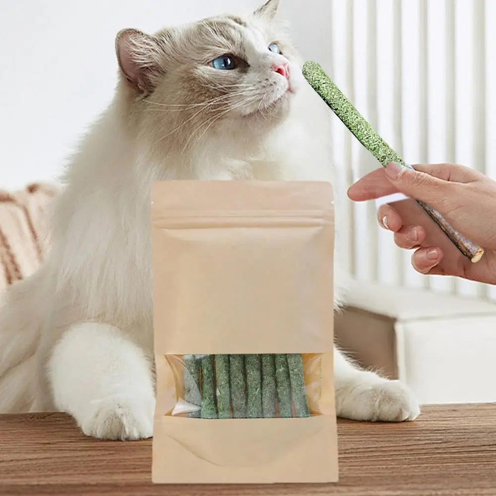 Bastão Natural de Matatabi – Limpeza Dental, Relaxamento e Estímulo para Gatos