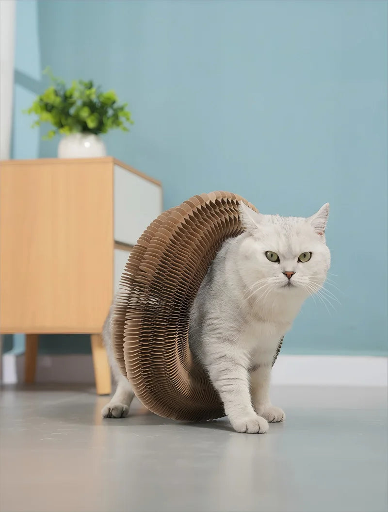 "Arranhador Mágico Sanfonado 3 em 1 para Gatos: Cama, Brinquedo e Diversão Reciclável!"