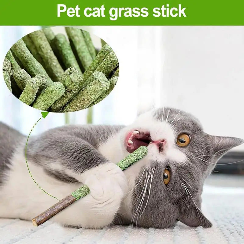Bastão Natural de Matatabi – Limpeza Dental, Relaxamento e Estímulo para Gatos