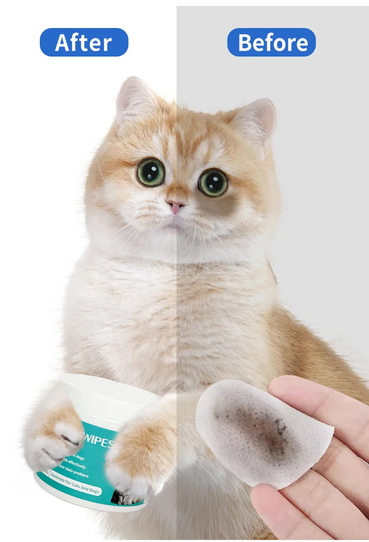 👀 Lenços Umedecidos Limpeza de Olhos para Gatos – Adeus Manchas de Lágrima!