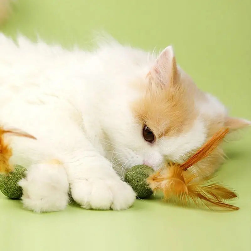 Diversão, petisco e bem-estar em um só brinquedo natural que os gatos amam lamber, caçar e mastigar.