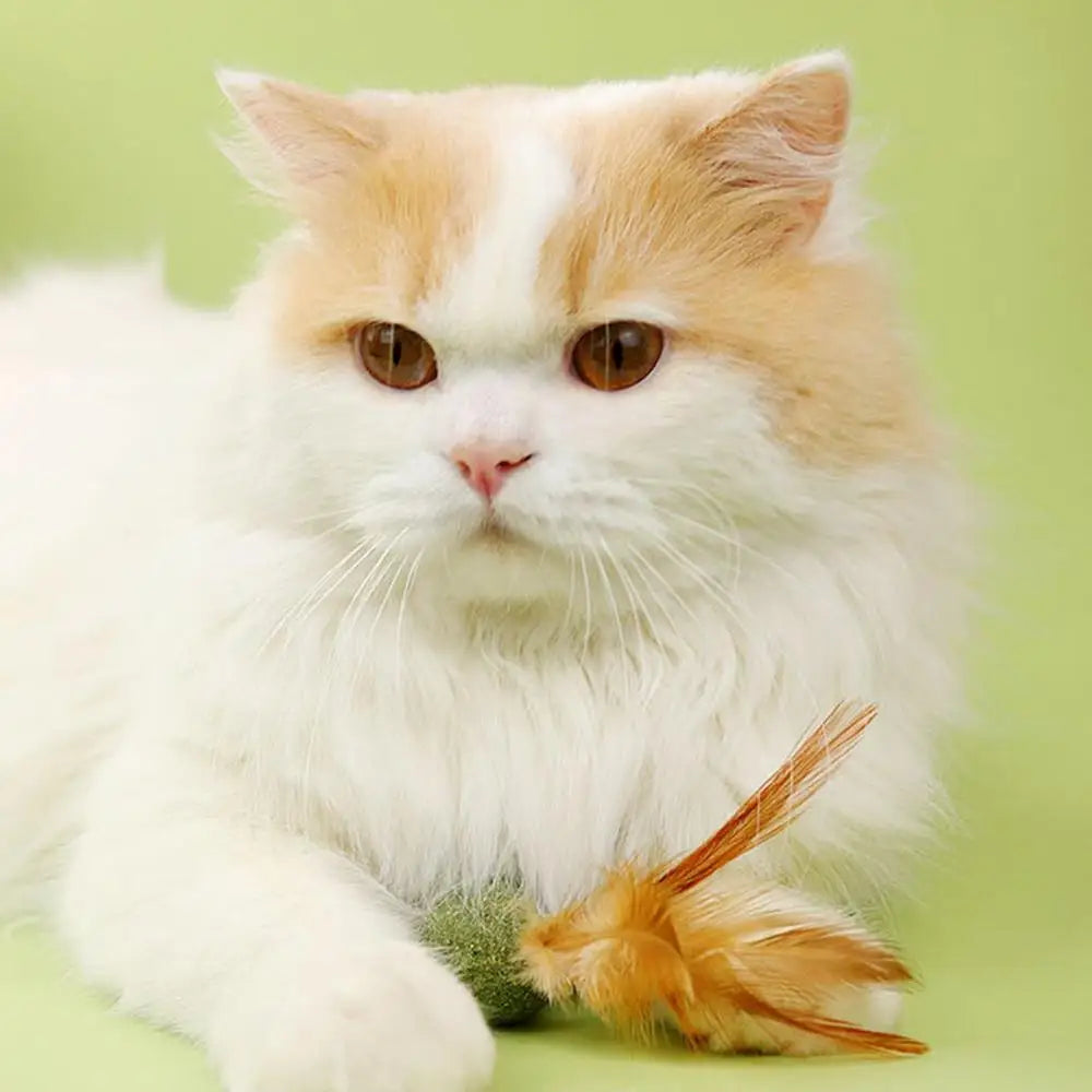 Diversão, petisco e bem-estar em um só brinquedo natural que os gatos amam lamber, caçar e mastigar.