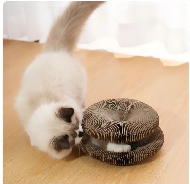 "Arranhador Mágico Sanfonado 3 em 1 para Gatos: Cama, Brinquedo e Diversão Reciclável!"