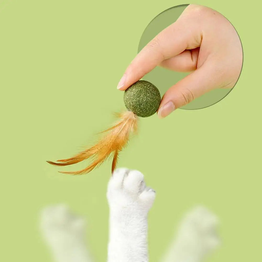 Diversão, petisco e bem-estar em um só brinquedo natural que os gatos amam lamber, caçar e mastigar.