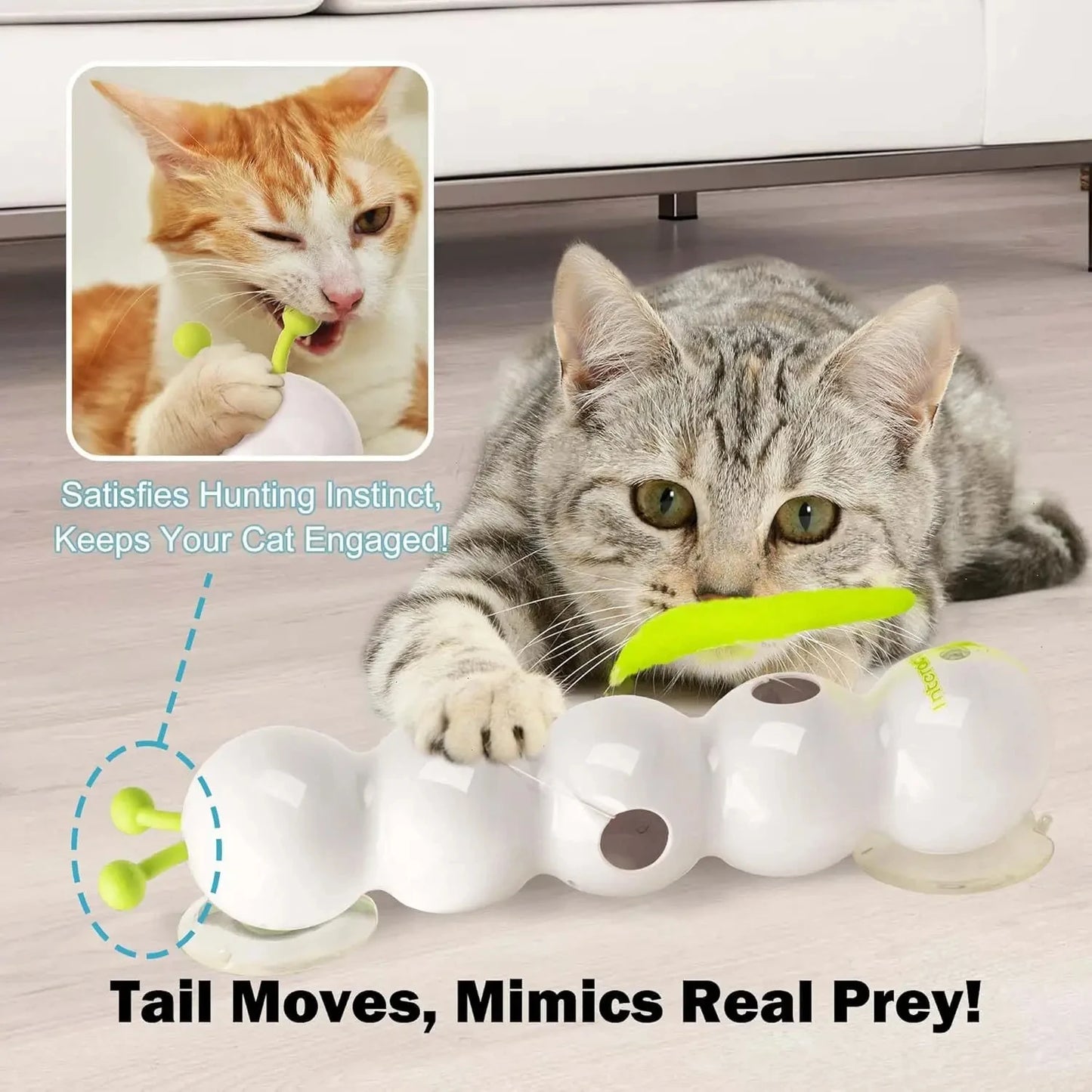 Seu gato caça sozinho. Você só dá play. Ideal para tutores ocupados e casas com vários felinos!