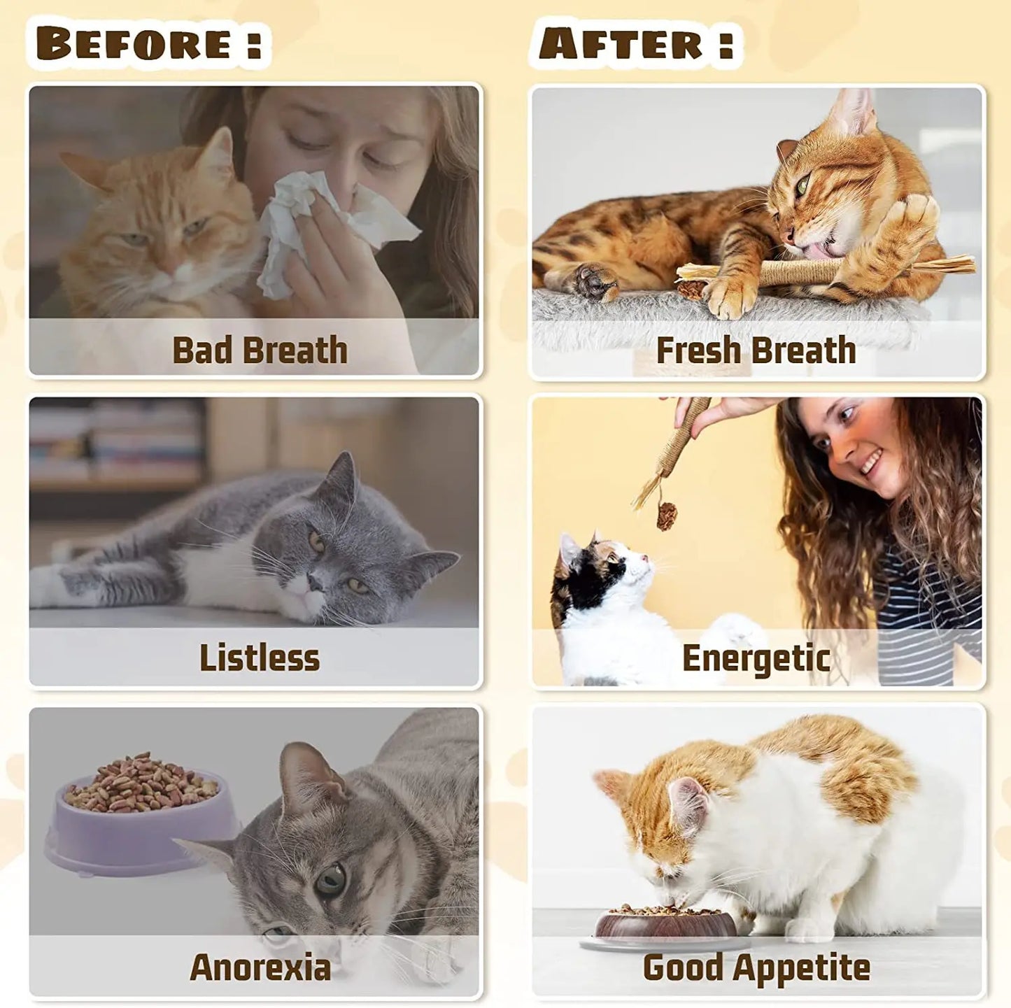 Arranhador de Papelão 4Cats – Redireciona o Instinto e Protege seus Móveis