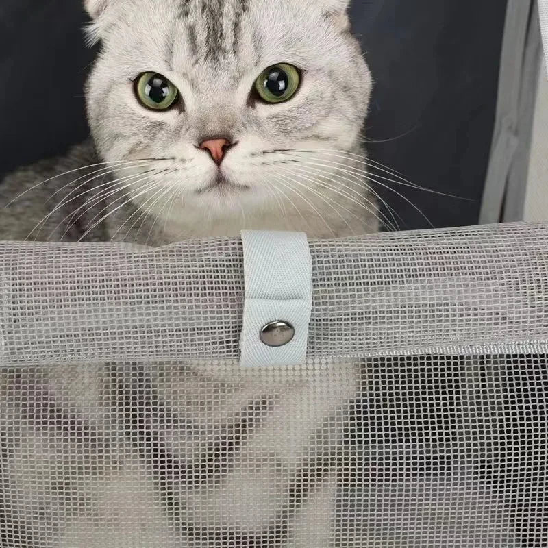 Mochila de Transporte para Gatos – Conforto, Segurança e Ventilação em Movimento (até 6kg)