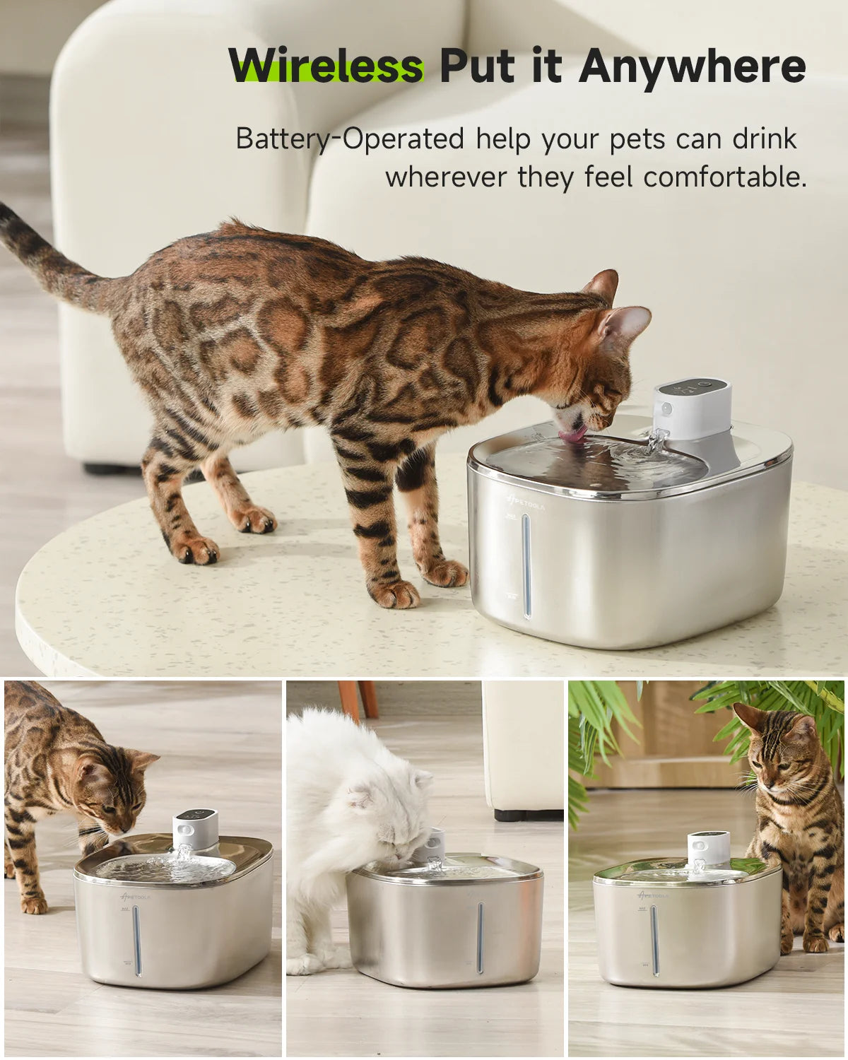 Fonte SensorH2O 4Cats™ – Bebedouro Inteligente Sem Fio com Sensor de Movimento (4 Litros)