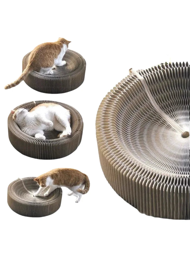 "Arranhador Mágico Sanfonado 3 em 1 para Gatos: Cama, Brinquedo e Diversão Reciclável!"