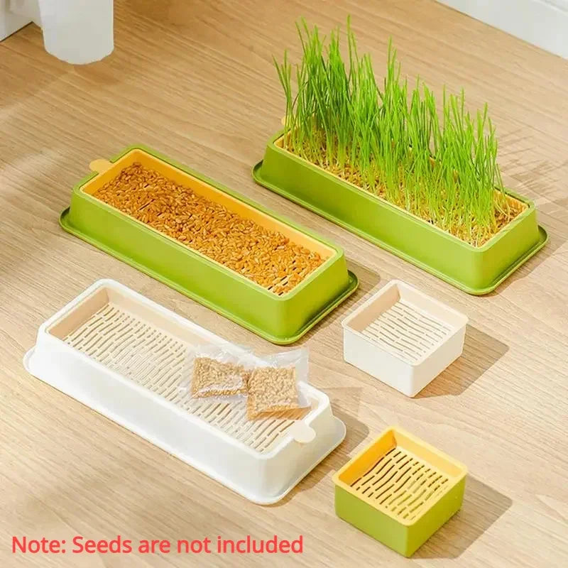 🌱 Conjunto de Cultivo de Grama para Gatos – Frescor, Saúde e Diversão em Casa!