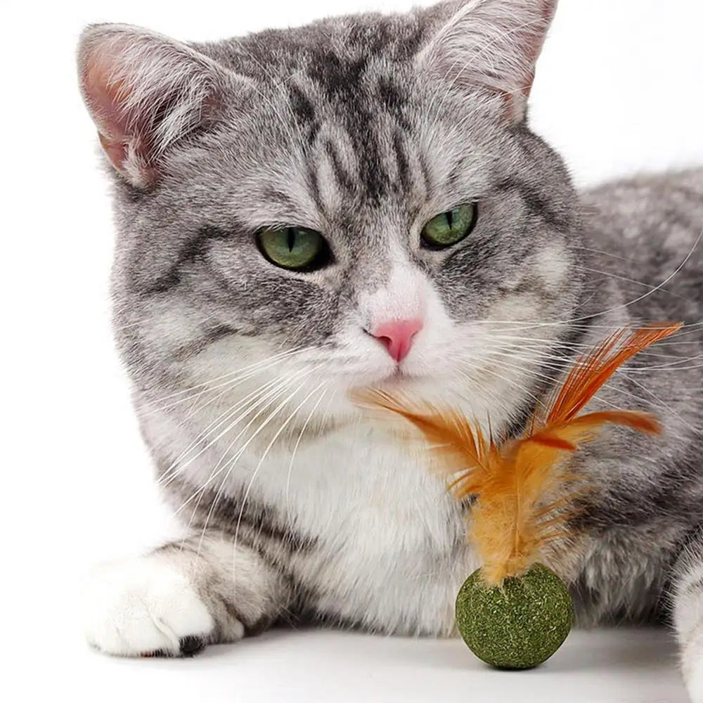 Diversão, petisco e bem-estar em um só brinquedo natural que os gatos amam lamber, caçar e mastigar.