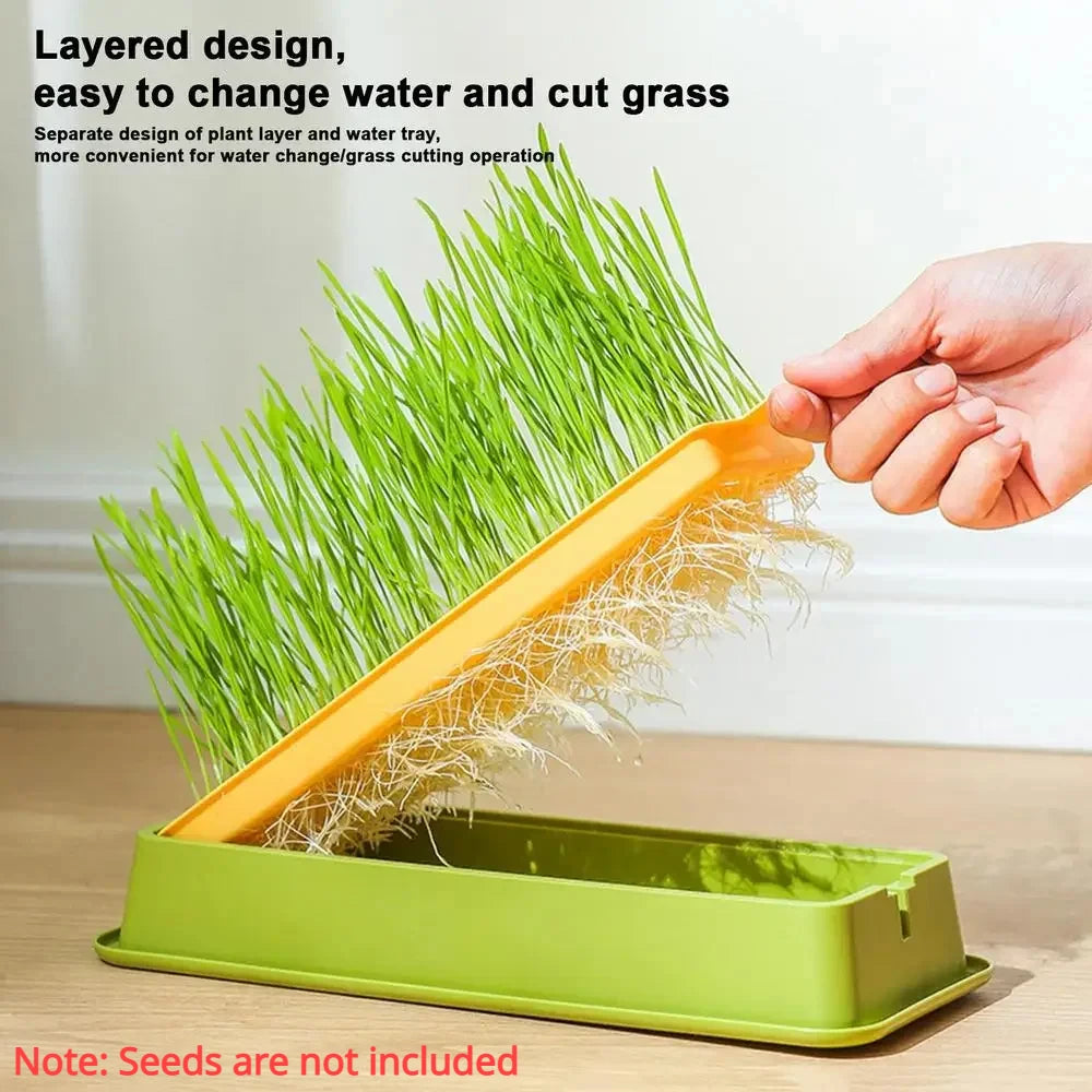 🌱 Conjunto de Cultivo de Grama para Gatos – Frescor, Saúde e Diversão em Casa!