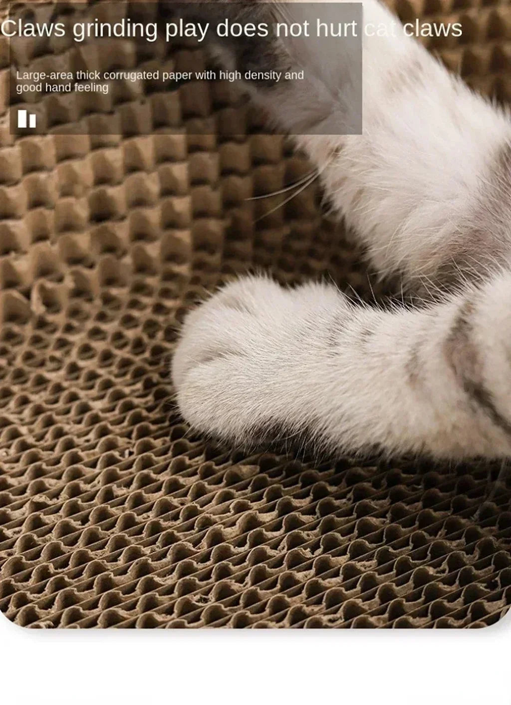 Arranhador Oval 2 em 1: Cama Confortável e Proteção de Móveis para Gatos!