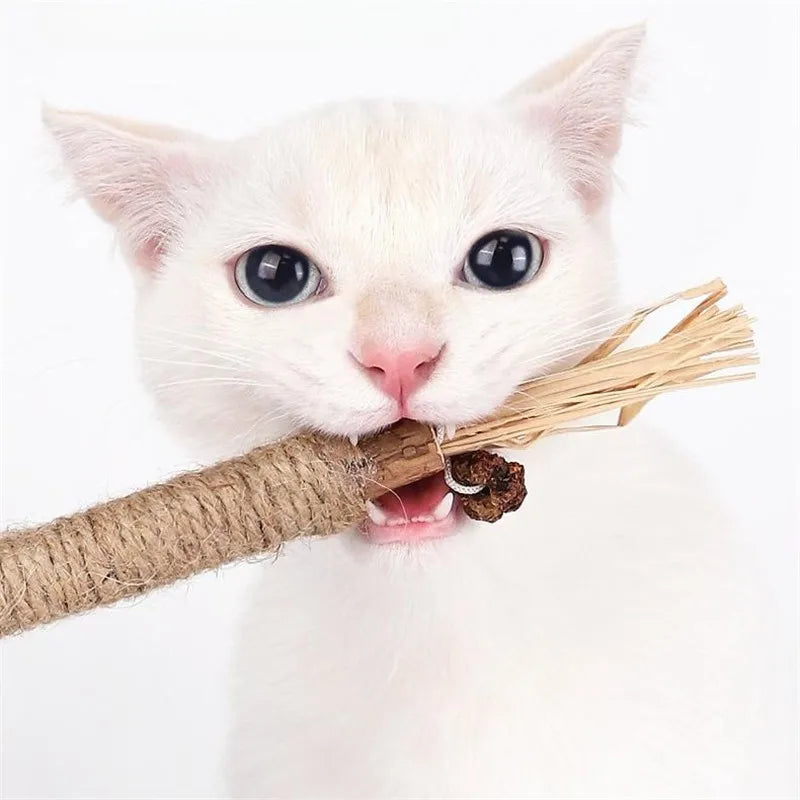 Arranhador de Papelão 4Cats – Redireciona o Instinto e Protege seus Móveis