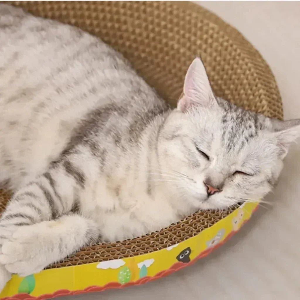 Arranhador Oval 2 em 1: Cama Confortável e Proteção de Móveis para Gatos!