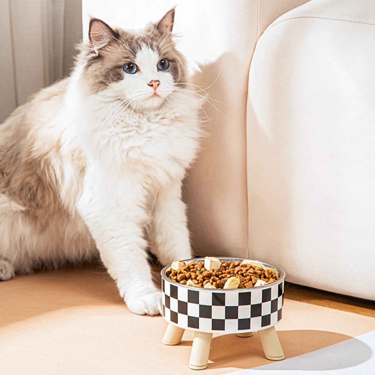 Estilo, praticidade e higiene em um só potinho – porque seu pet merece comer com classe.