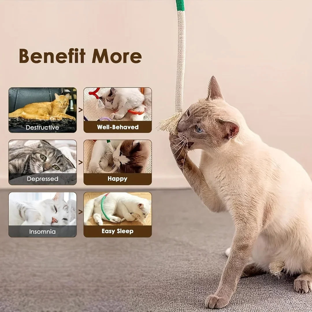 Brinquedo de Corda com Catnip – Limpeza Dental e Estímulo Natural para Gatos