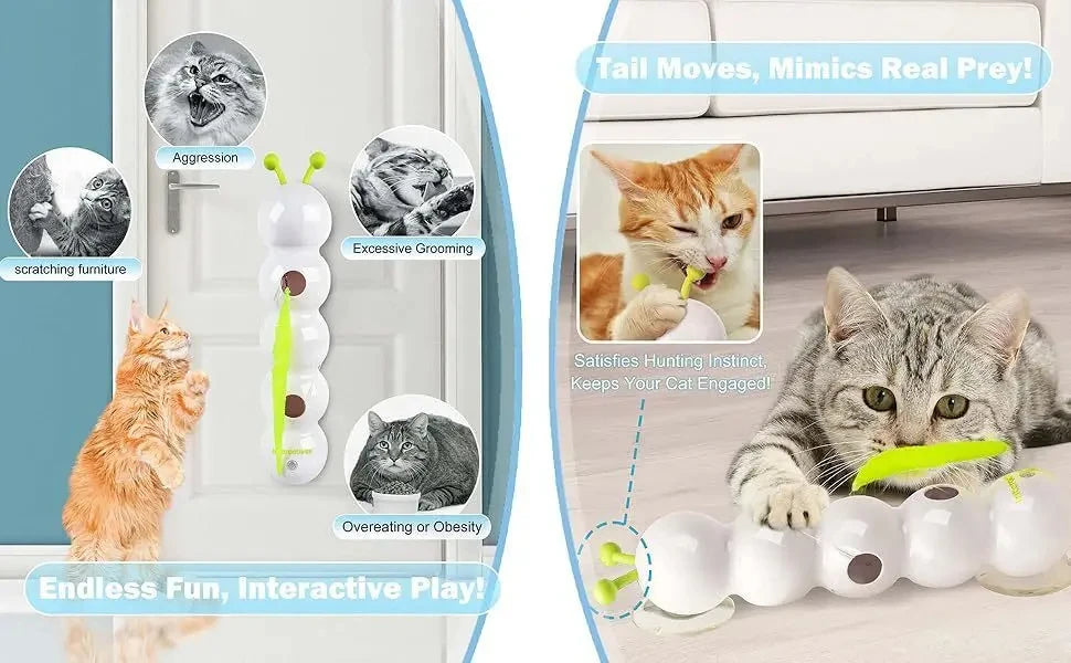 Seu gato caça sozinho. Você só dá play. Ideal para tutores ocupados e casas com vários felinos!