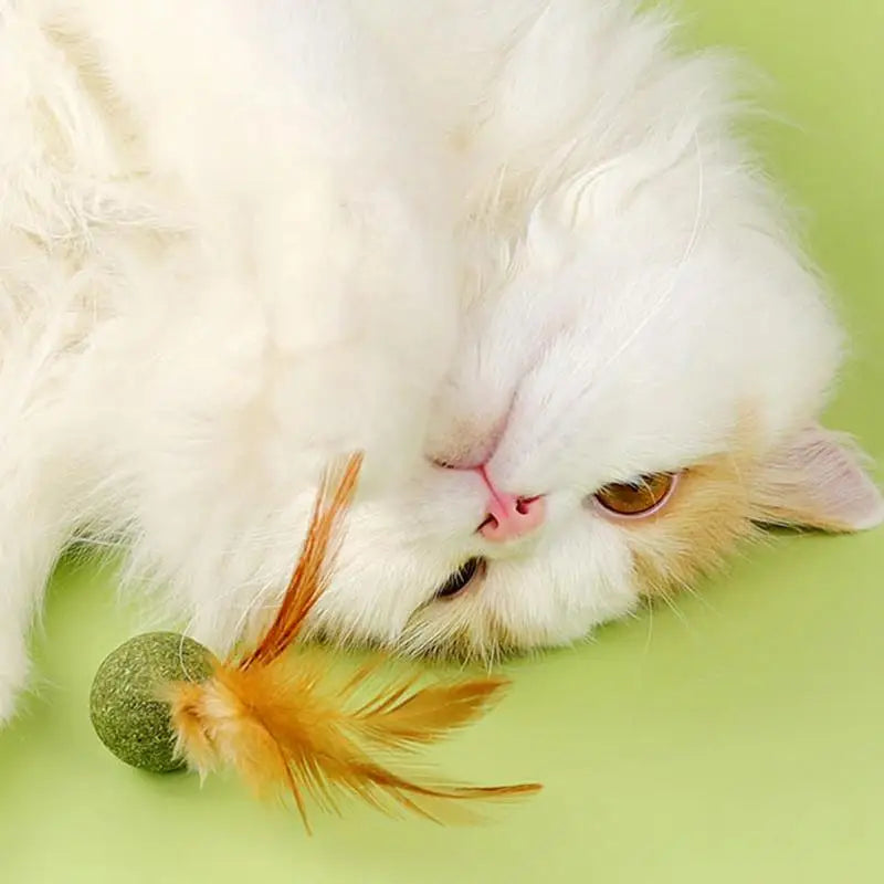 Diversão, petisco e bem-estar em um só brinquedo natural que os gatos amam lamber, caçar e mastigar.