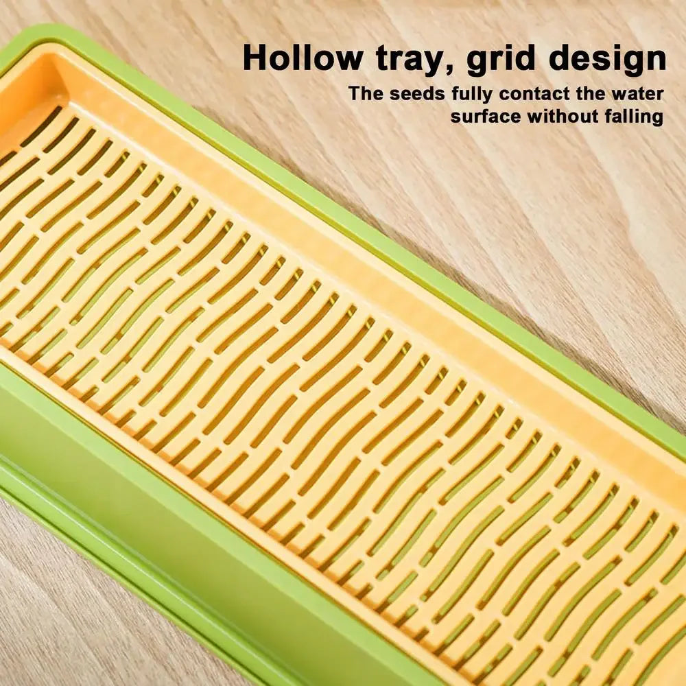 🌱 Conjunto de Cultivo de Grama para Gatos – Frescor, Saúde e Diversão em Casa!