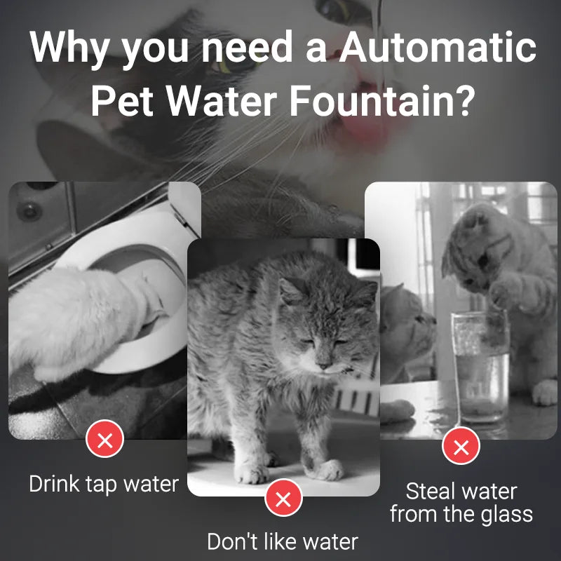 Fonte PuriFlow 4Cats™ – Bebedouro Automático com Filtro Recirculante e Purificação Contínua