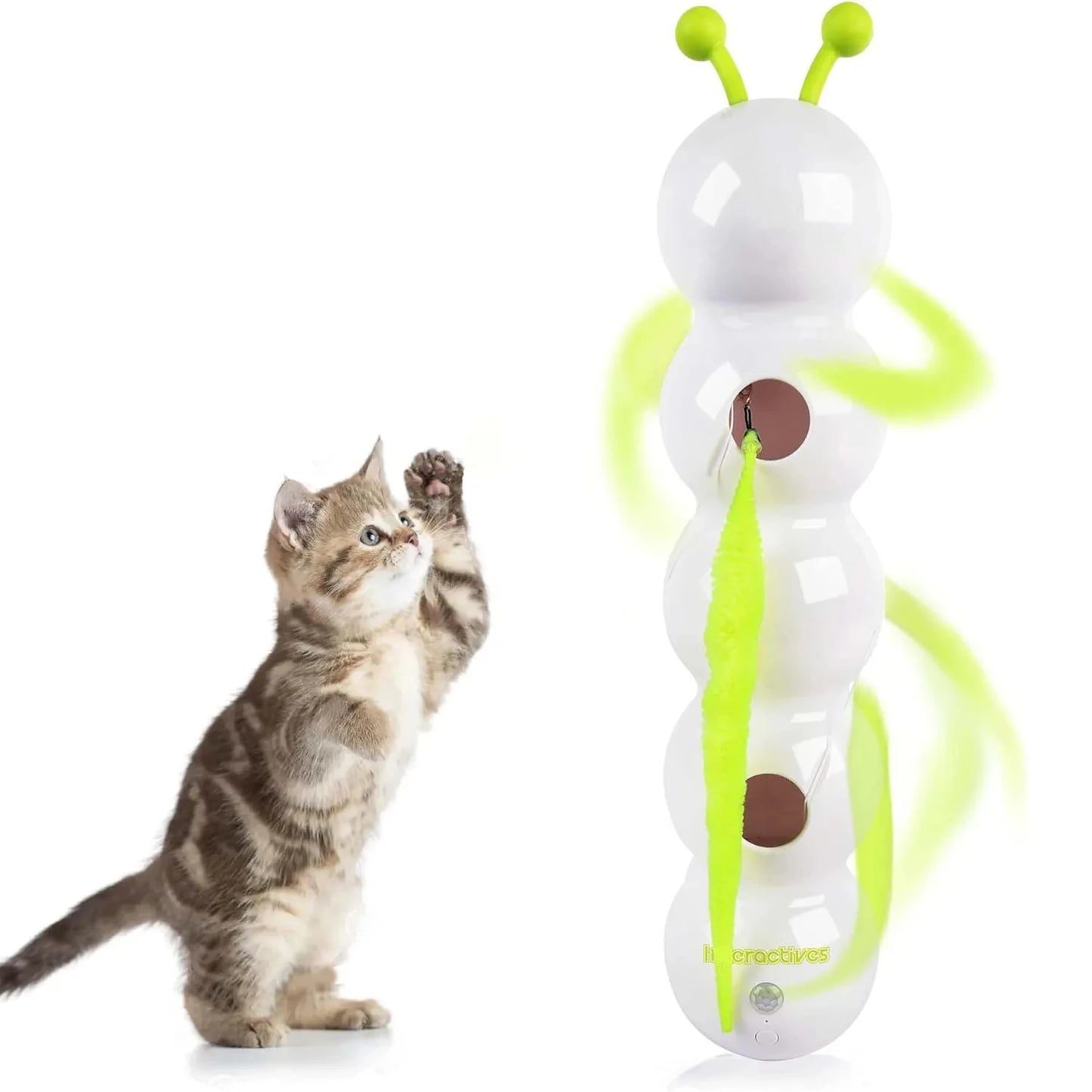 Seu gato caça sozinho. Você só dá play. Ideal para tutores ocupados e casas com vários felinos!