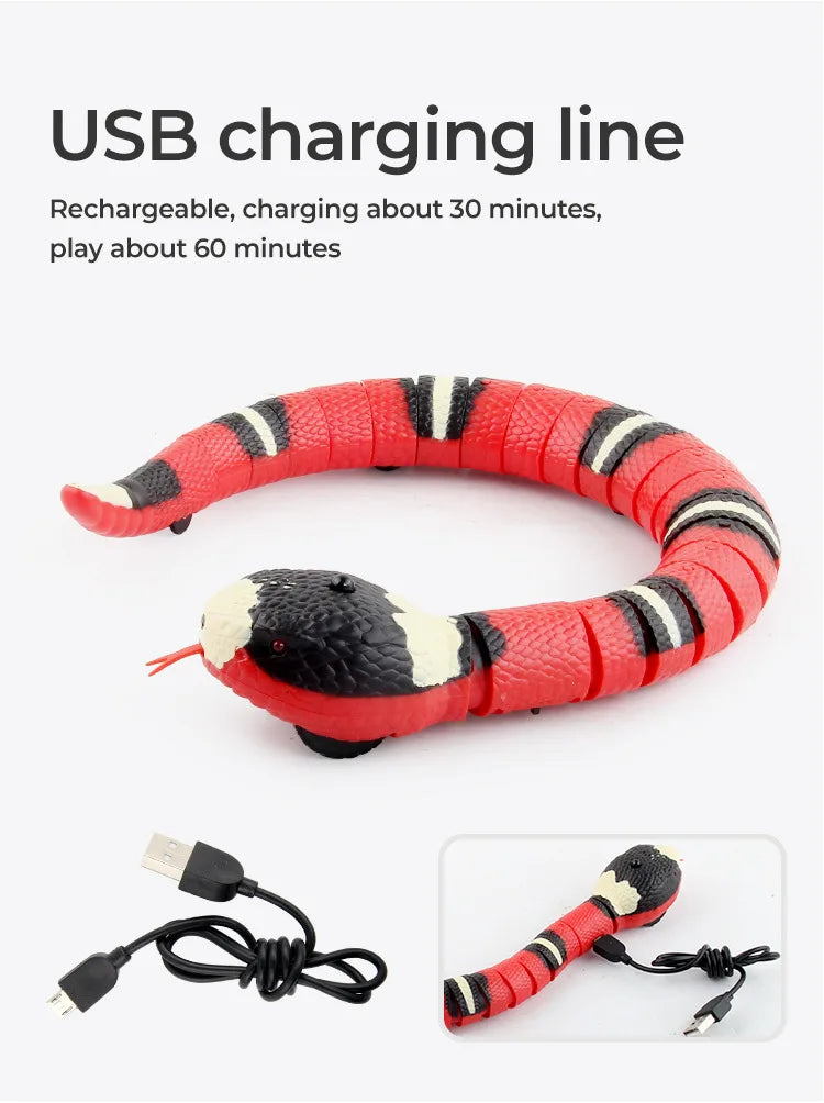 🐍 Brinquedo Interativo Cobra Eletrônica – Diversão Inteligente Para Gatos e Gatinhos!
