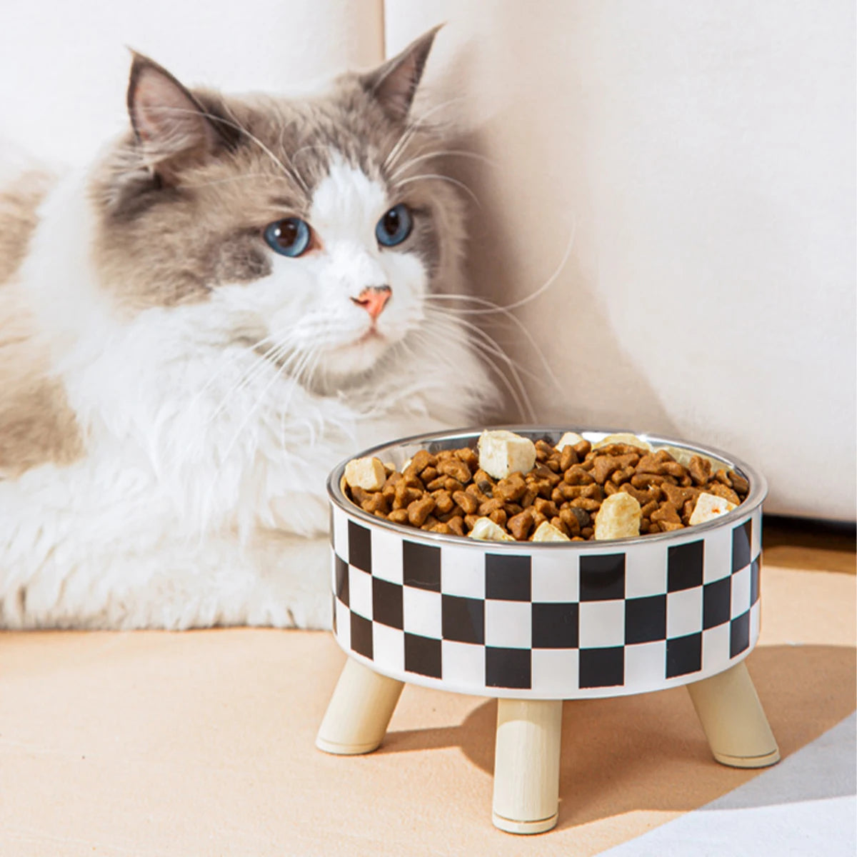 Estilo, praticidade e higiene em um só potinho – porque seu pet merece comer com classe.