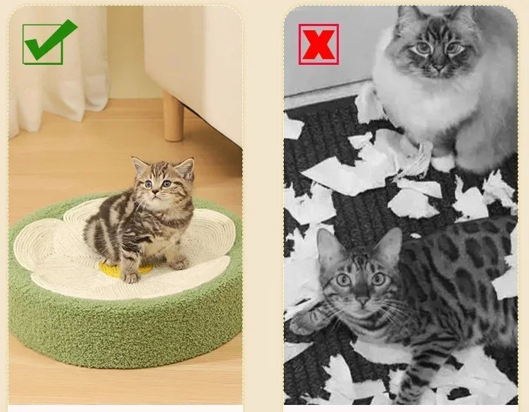 😻 Arranhador Redondo de Sisal – Cama & Diversão 2 em 1 para Gatos!