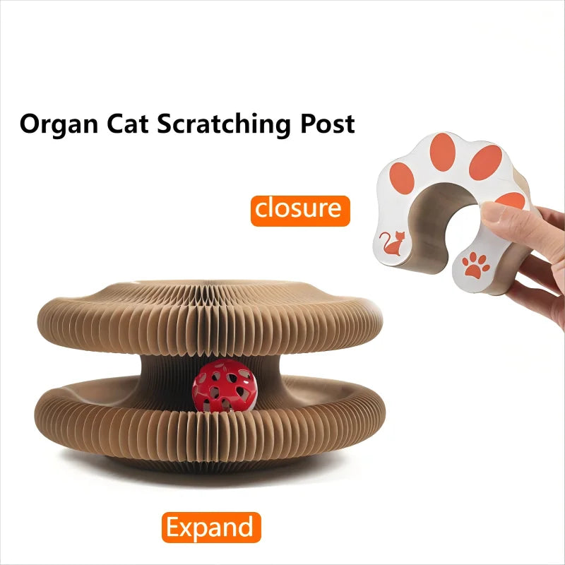 "Arranhador Mágico Sanfonado 3 em 1 para Gatos: Cama, Brinquedo e Diversão Reciclável!"
