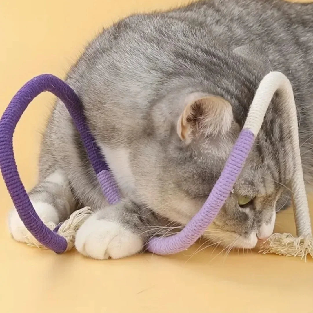 Brinquedo de Corda com Catnip – Limpeza Dental e Estímulo Natural para Gatos