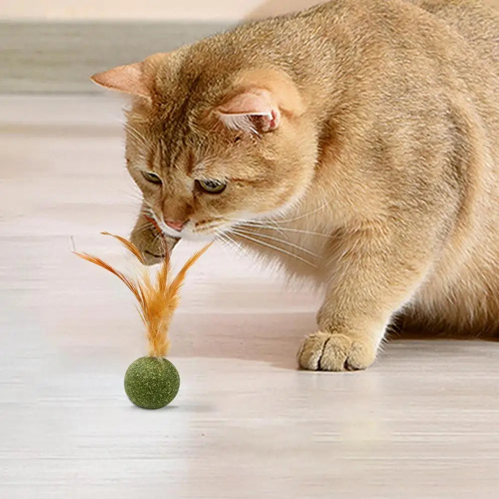 Diversão, petisco e bem-estar em um só brinquedo natural que os gatos amam lamber, caçar e mastigar.