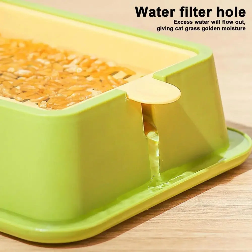 🌱 Conjunto de Cultivo de Grama para Gatos – Frescor, Saúde e Diversão em Casa!