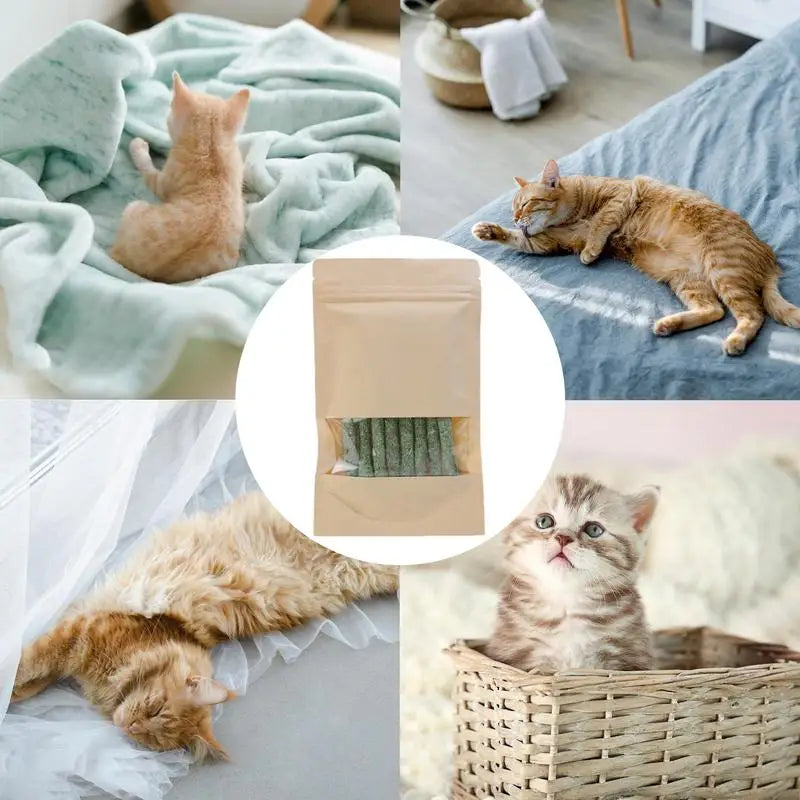 Bastão Natural de Matatabi – Limpeza Dental, Relaxamento e Estímulo para Gatos