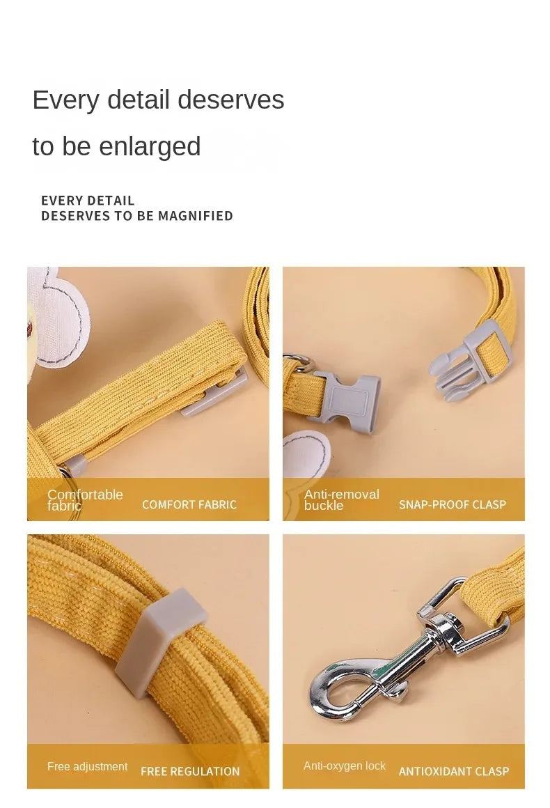 🐝 Conjunto de Coleira e Guia Abelhinha – Passeios Mais Seguros, Divertidos e Cheios de Estilo!
