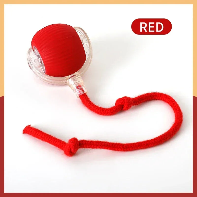 Bolinha Inteligente com Rabo – Brinquedo Recarregável que Simula Presa em Movimento