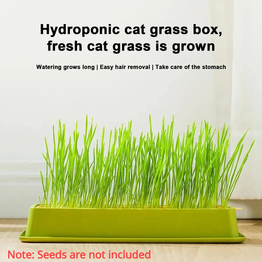 🌱 Conjunto de Cultivo de Grama para Gatos – Frescor, Saúde e Diversão em Casa!