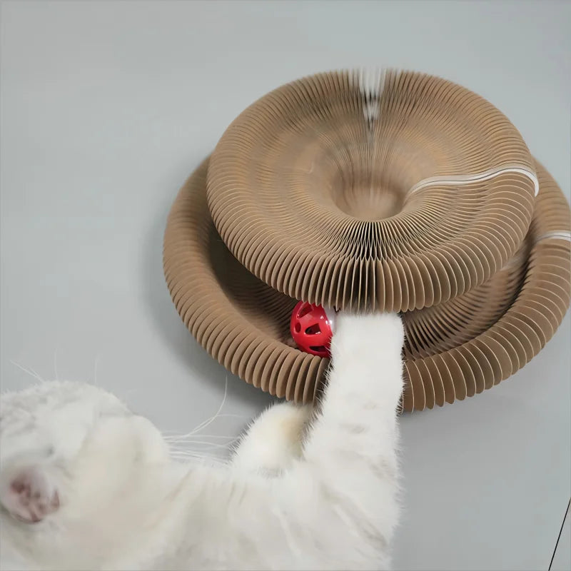 "Arranhador Mágico Sanfonado 3 em 1 para Gatos: Cama, Brinquedo e Diversão Reciclável!"
