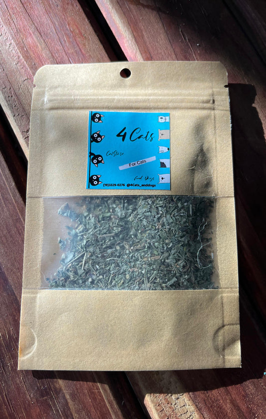 CatNip 4 Cats - For Cats & Dogs