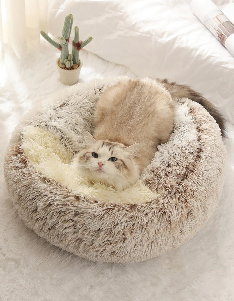 Caminha Ninho Supermacia – Conforto e Segurança para Gatos Exigentes